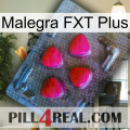 Malegra FXT Plus 13